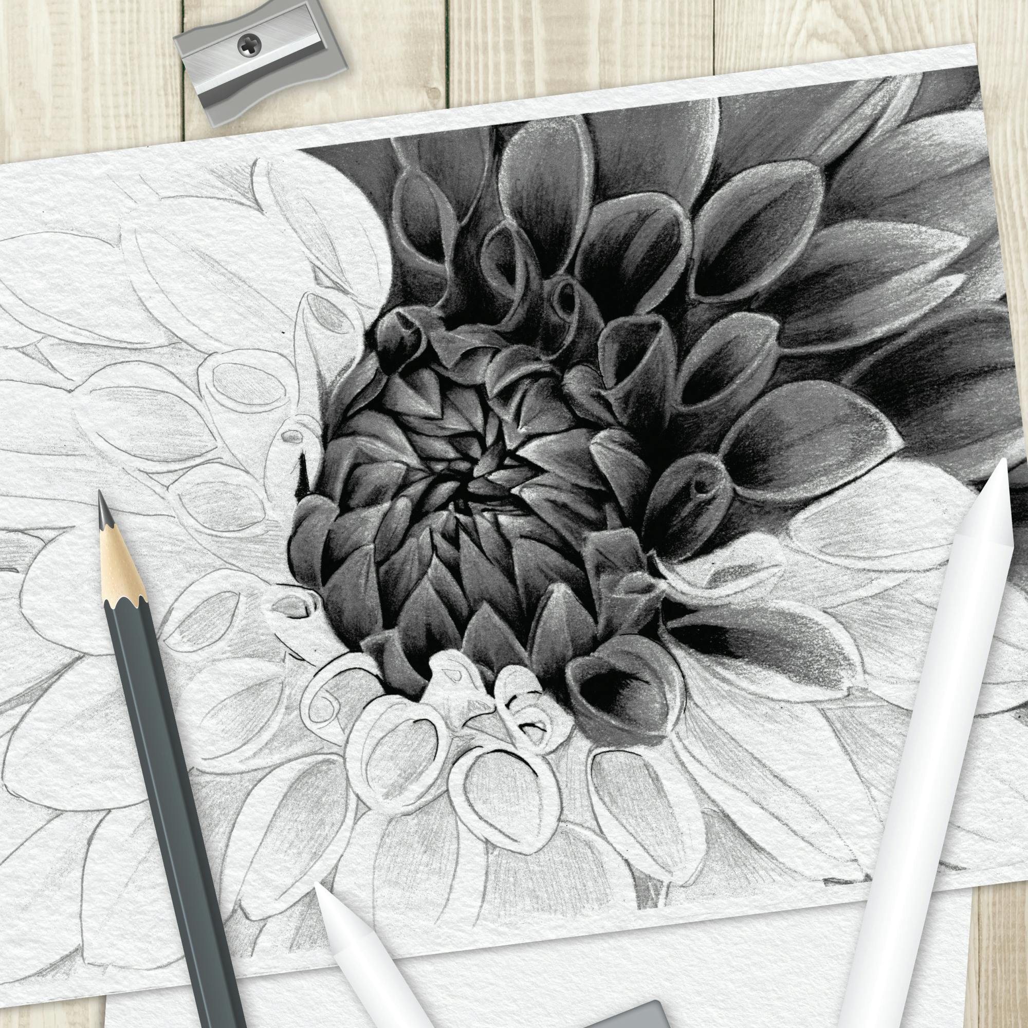 Art Maker: Drawing Techniques Kit