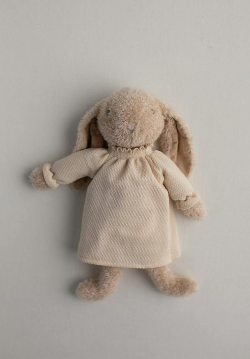The Little Bunny