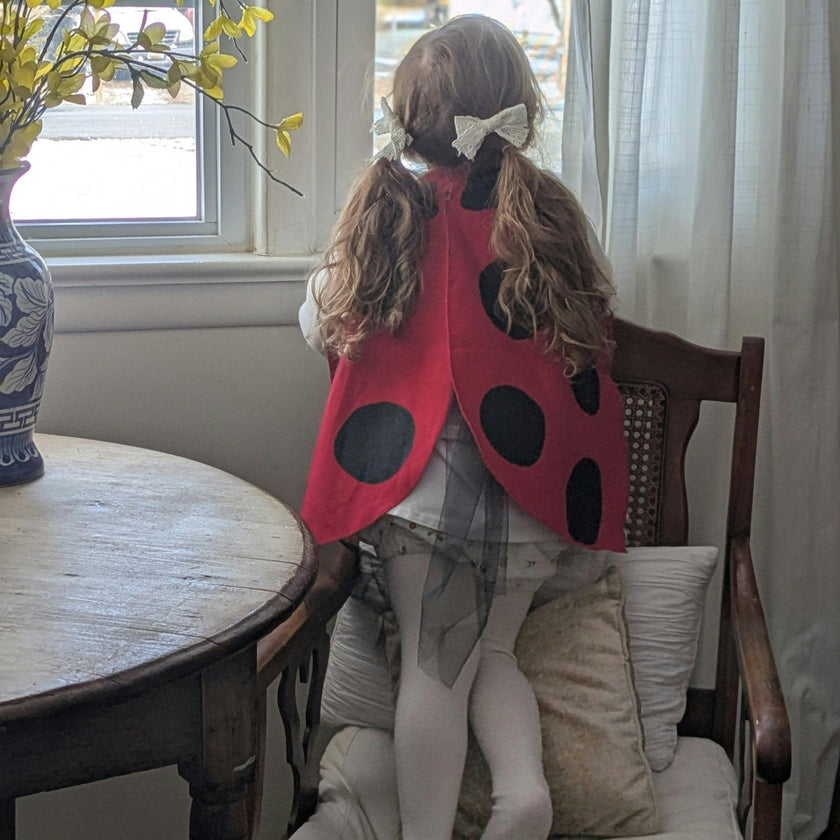 Costume Wings