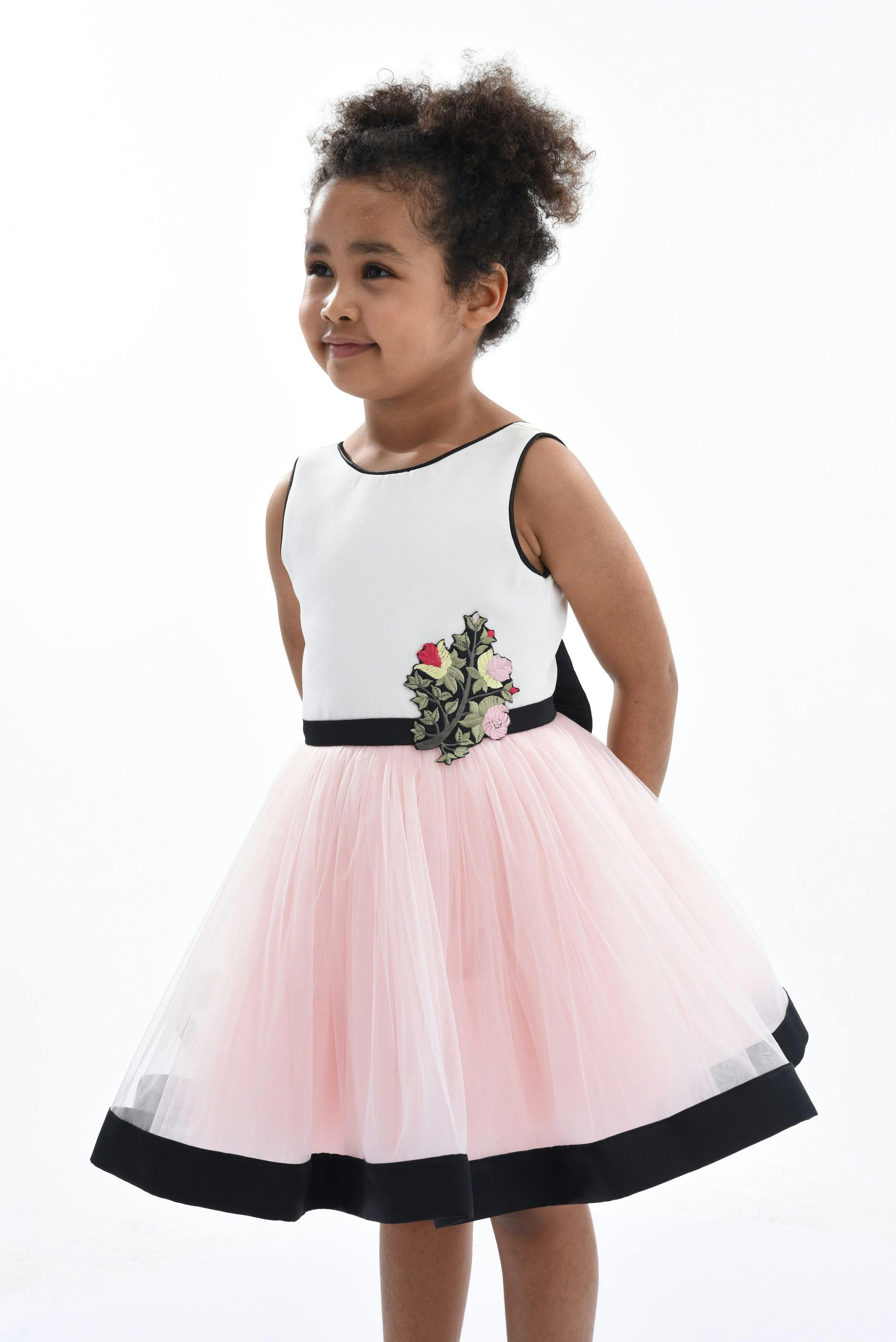 White Albany Floral Embroidered Dress