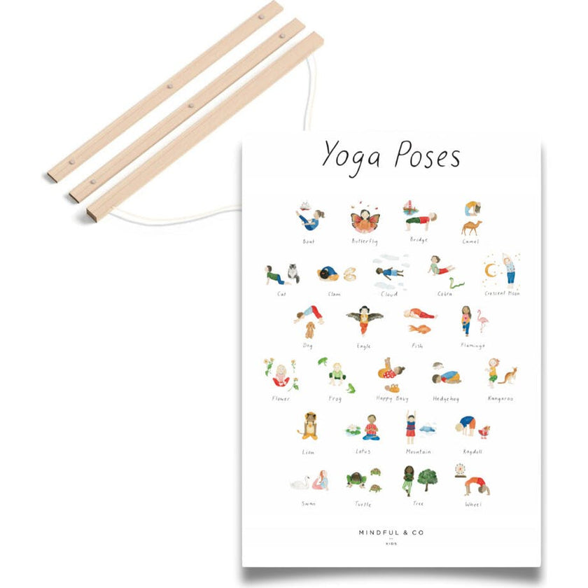 Mindful Moves Bundle