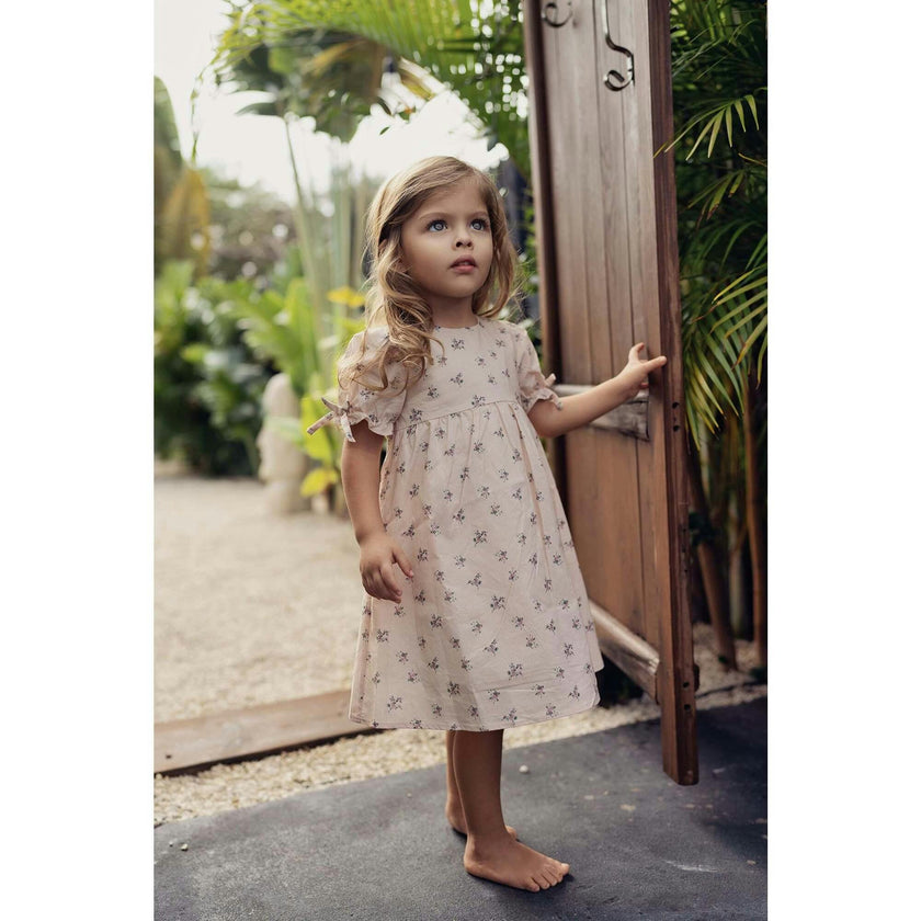 Rose Dot Short Sleeve Dress