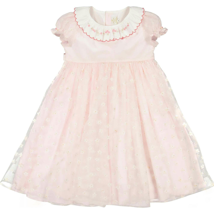 Cordelia Pink Dress with Tulle