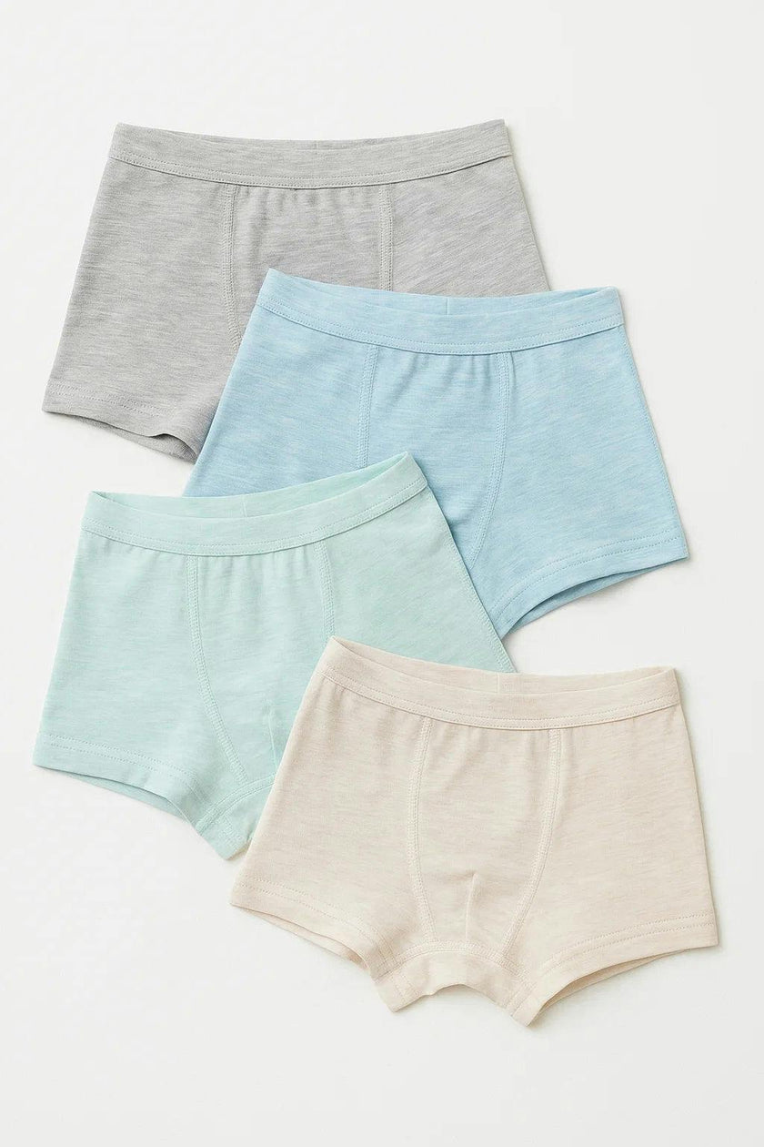 Boxer Brief's 4 Pack