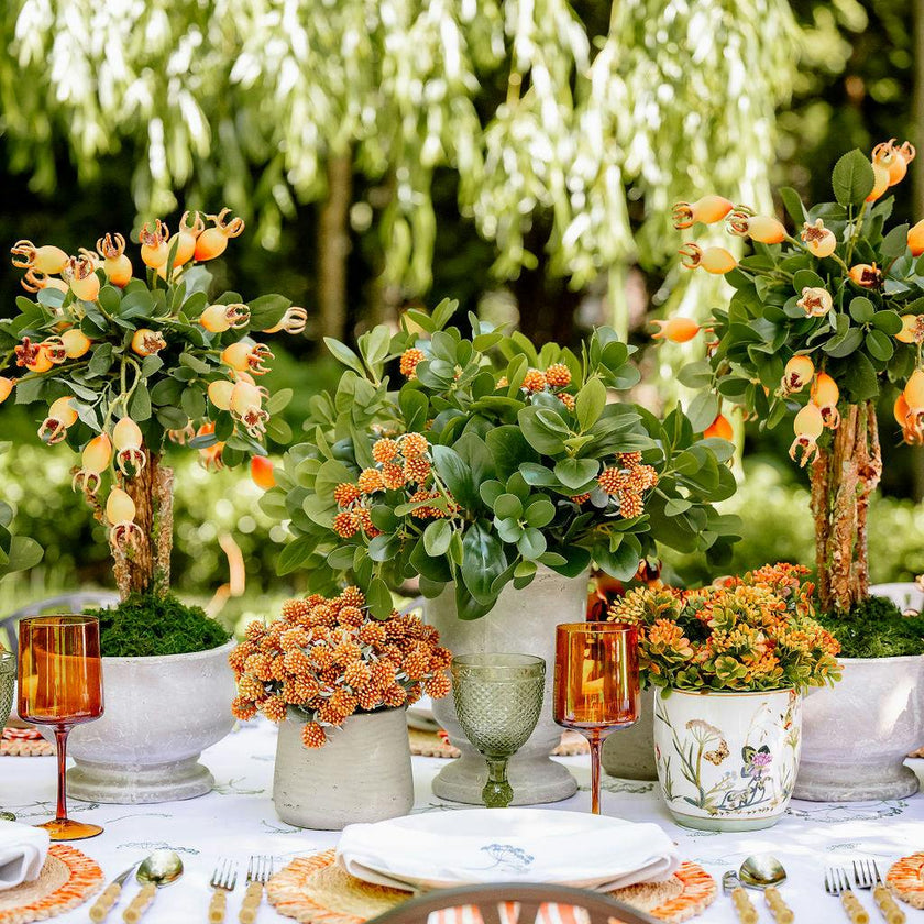 DH Orange Berries in Patt Pot