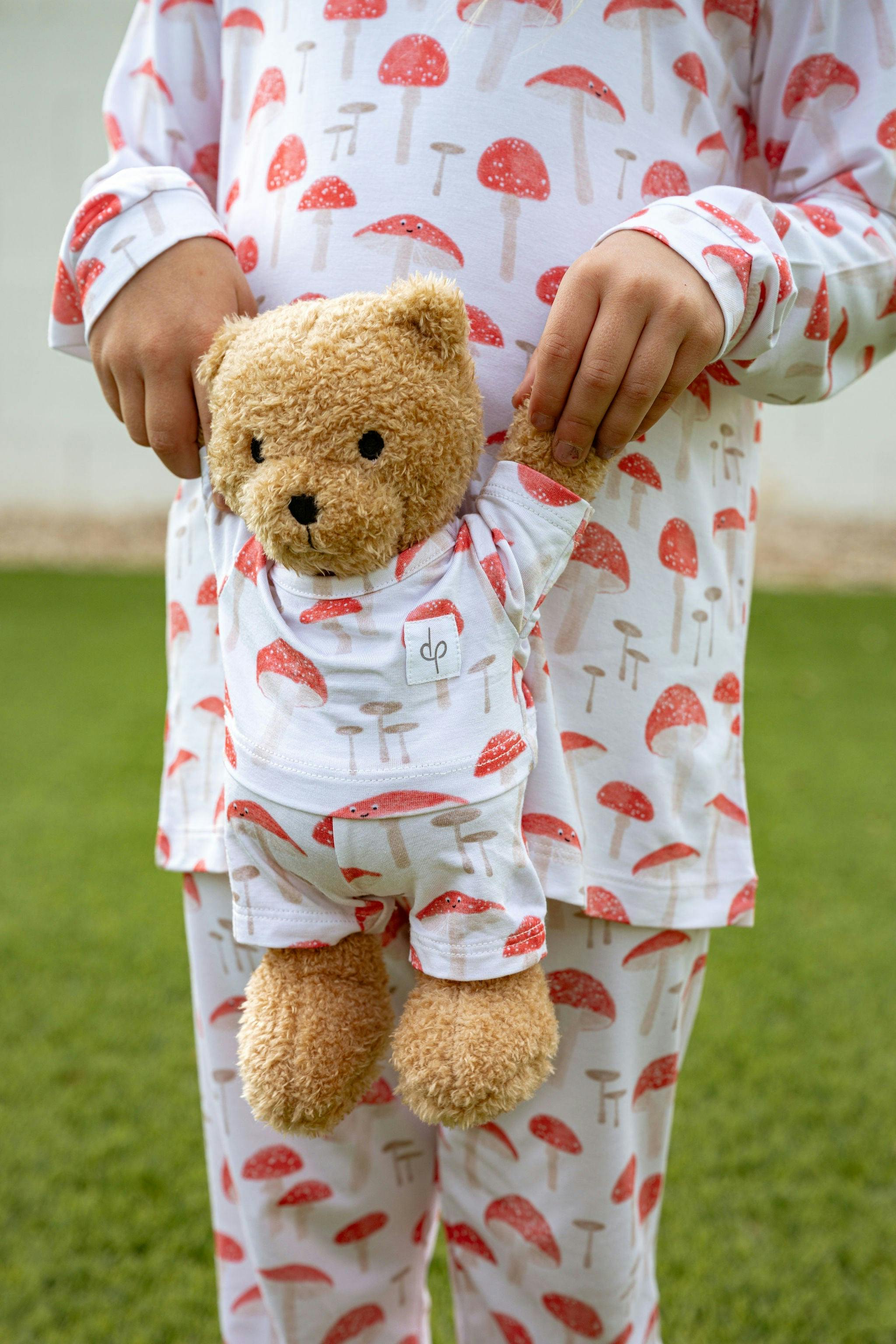Teddy Plush Toy: The Fun-gis