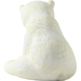 Polar Mother