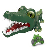 Crazy Crocodile R/C