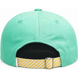 Triceratops Baseball Hat