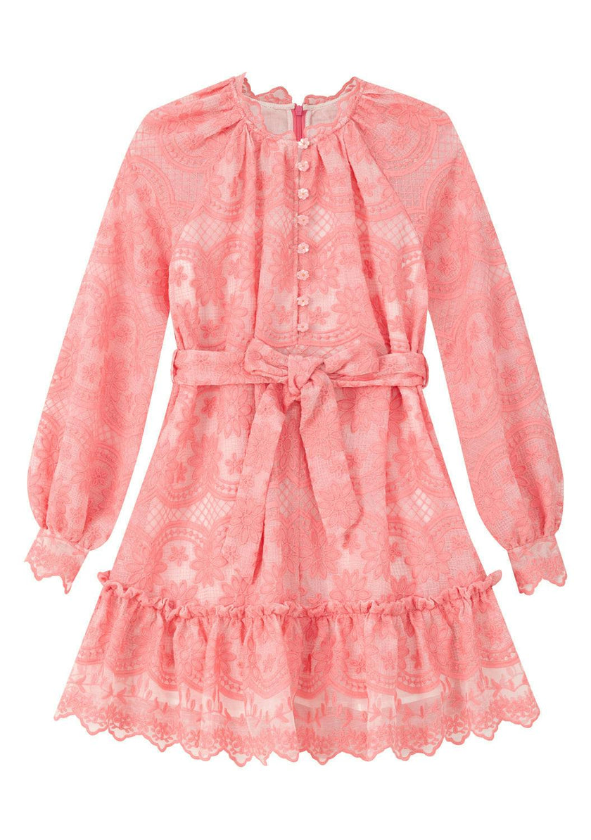 Kaia Lace Embroidered Mini Dress