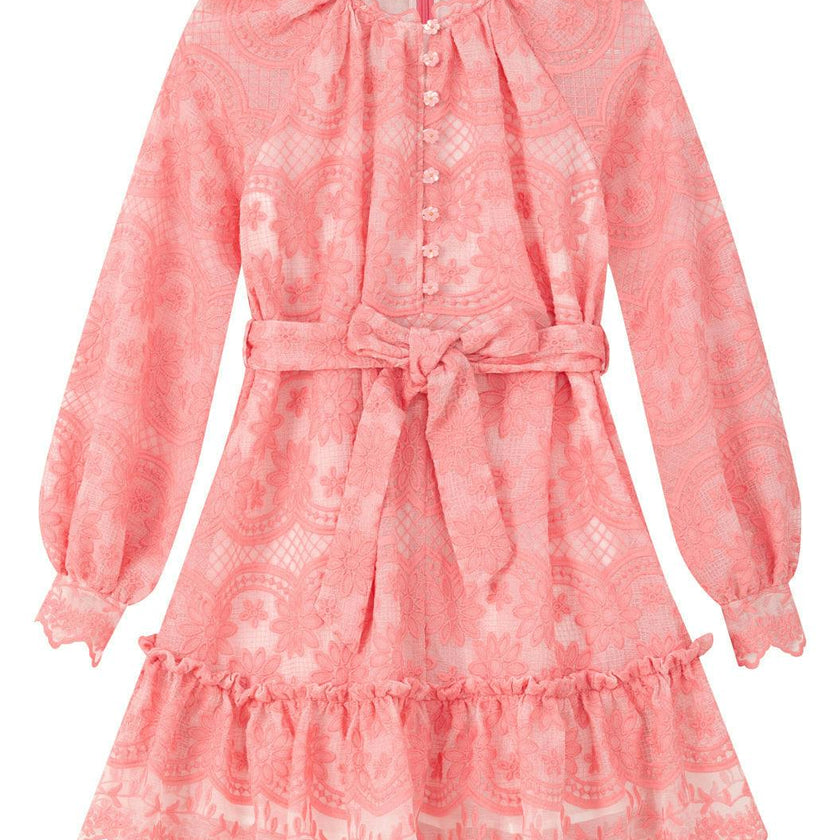 Kaia Lace Embroidered Mini Dress