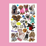 Dress & Color ME: Cute Animals