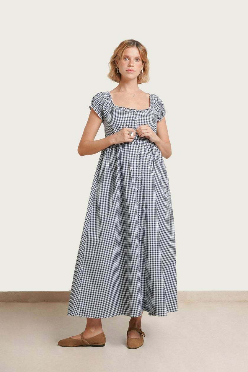 Lily Gingham Maternity & Nursing Dress