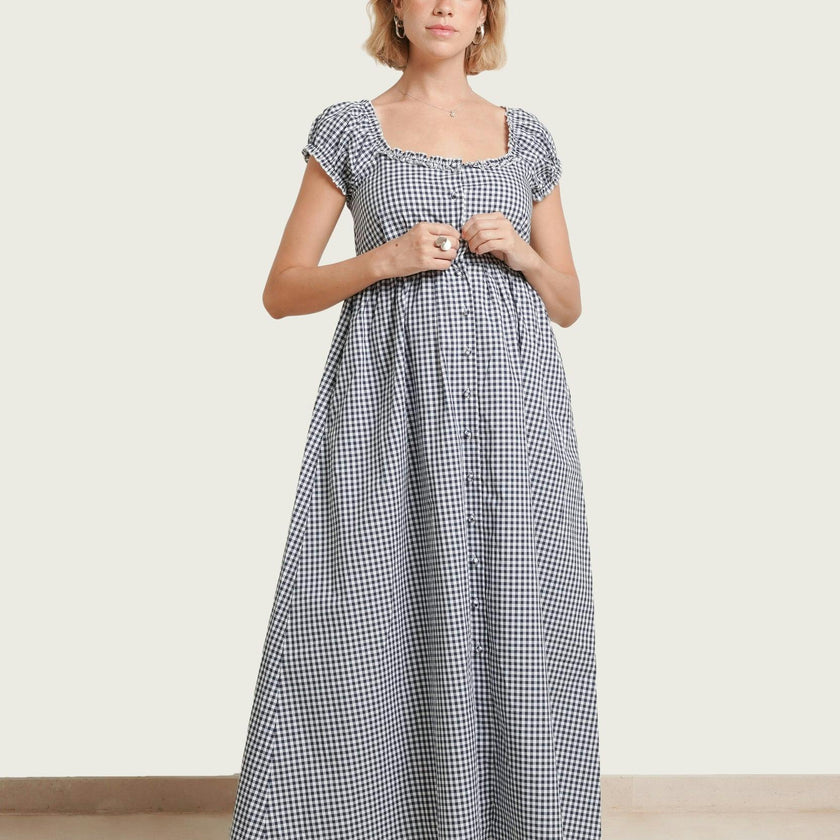 Lily Gingham Maternity & Nursing Dress