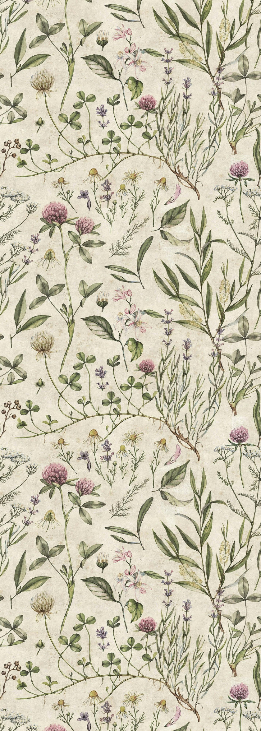 Vintage Illustration Wallpaper