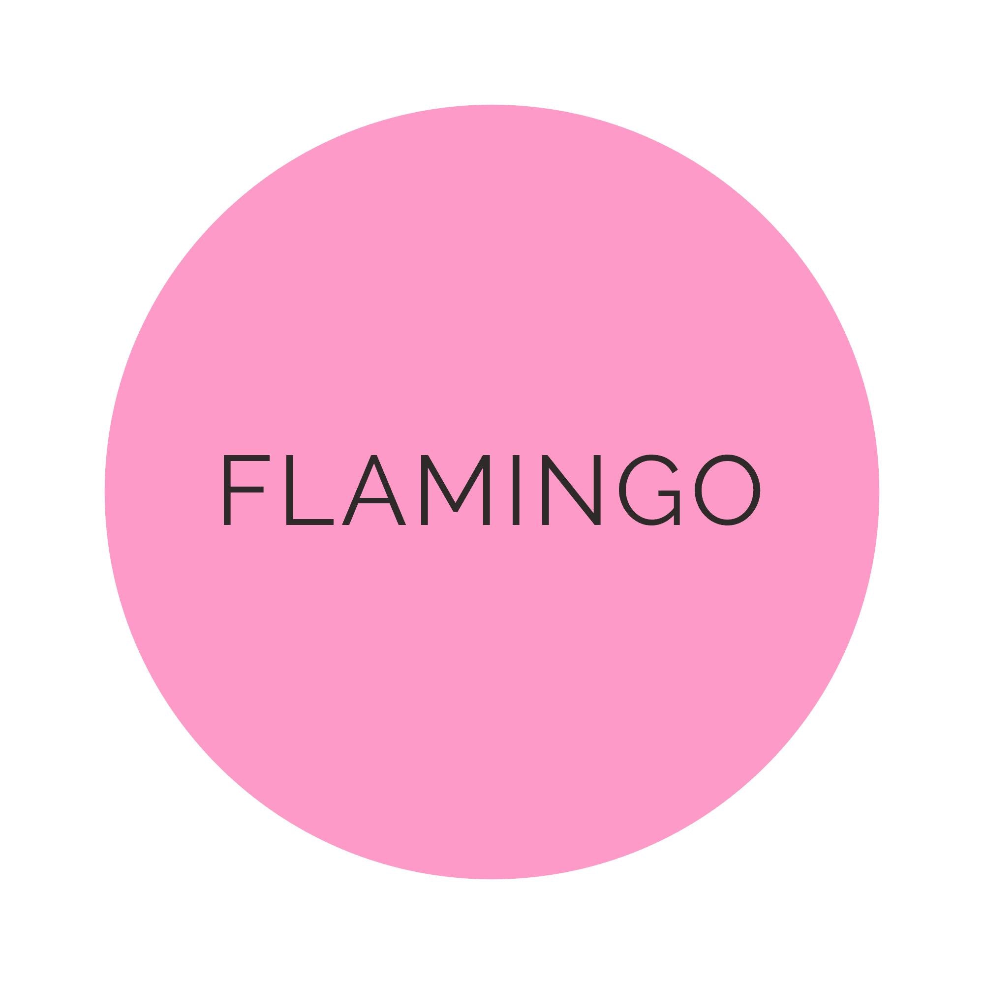 Shades Flamingo Dinner Plates