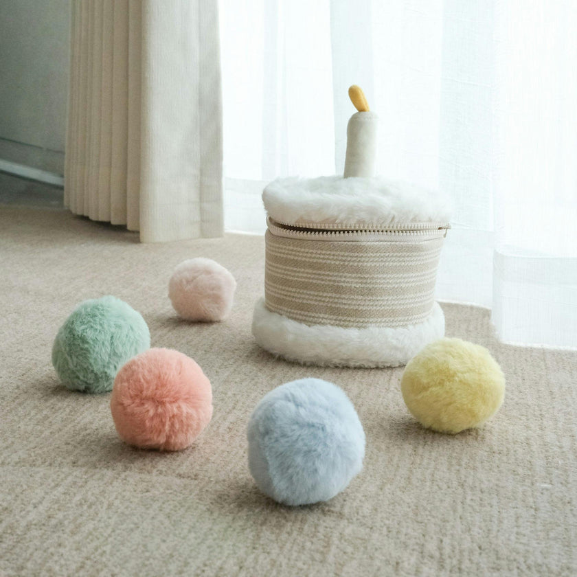 CAKE & TOSS CELEBRATION BIN