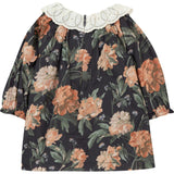 Baby Vintage Embroidered Lace Collar Dress