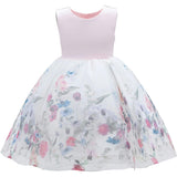 Pink Mabel Floral Garden Organza Dress