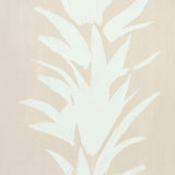 White Lotus Wallpaper