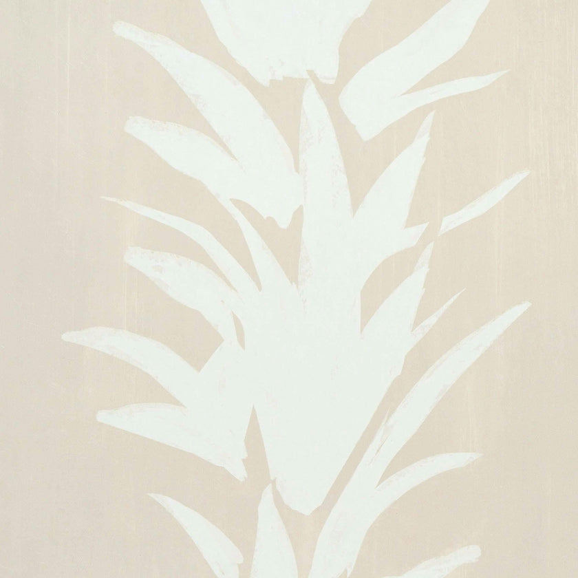 White Lotus Wallpaper