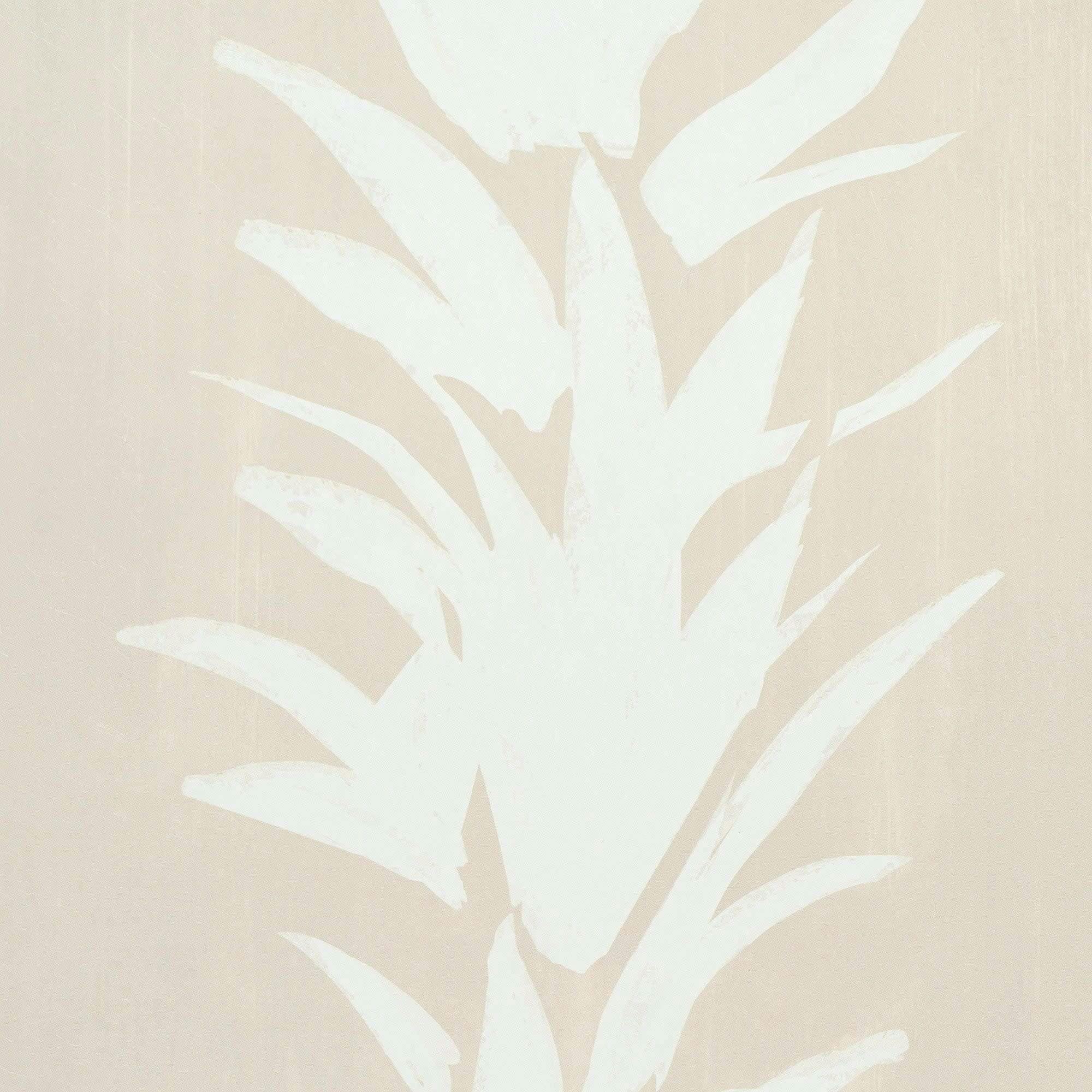 White Lotus Wallpaper