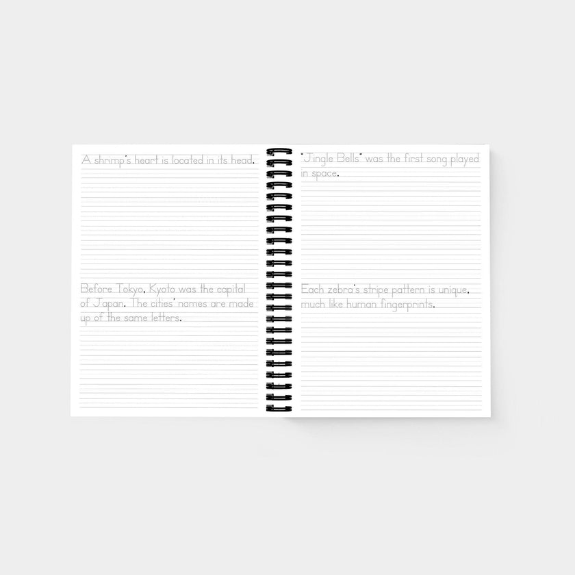 Print Handwriting Practice for Kids 8-12