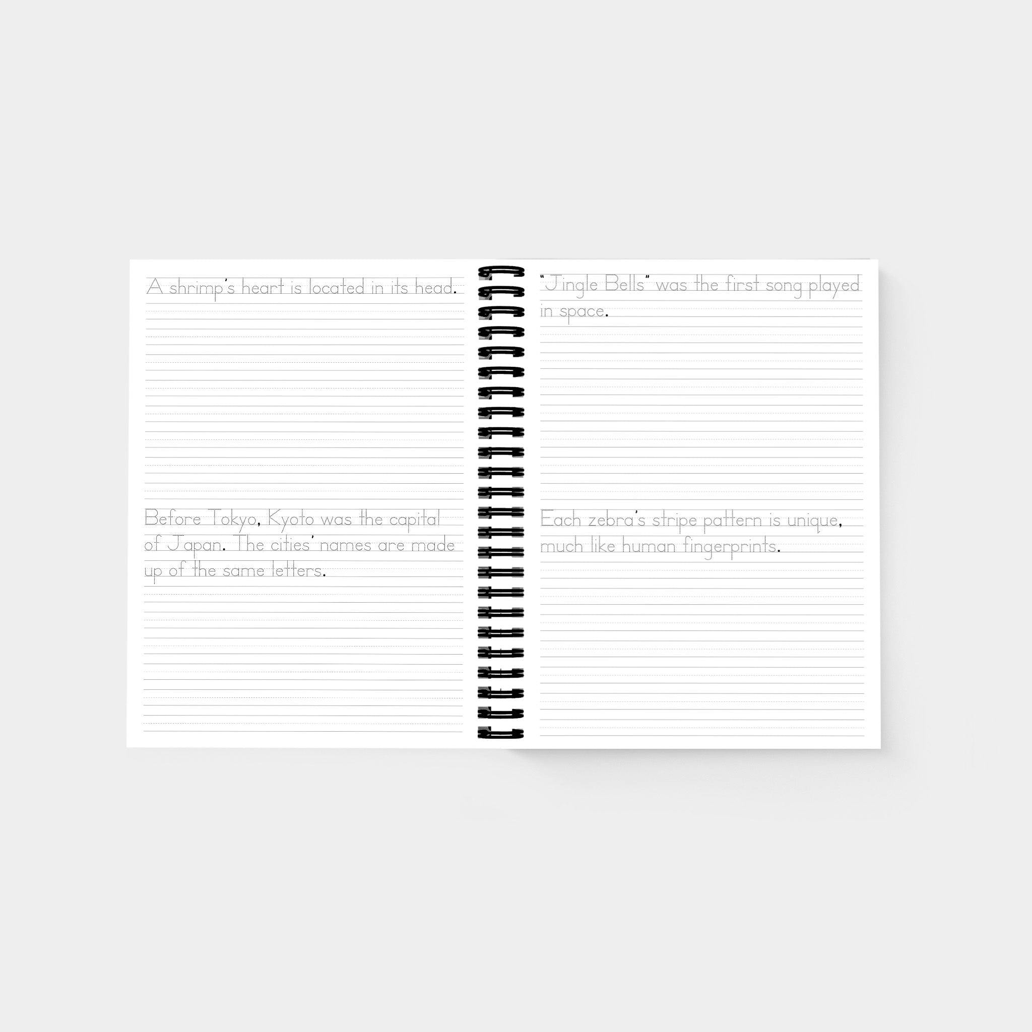Print Handwriting Practice for Kids 8-12