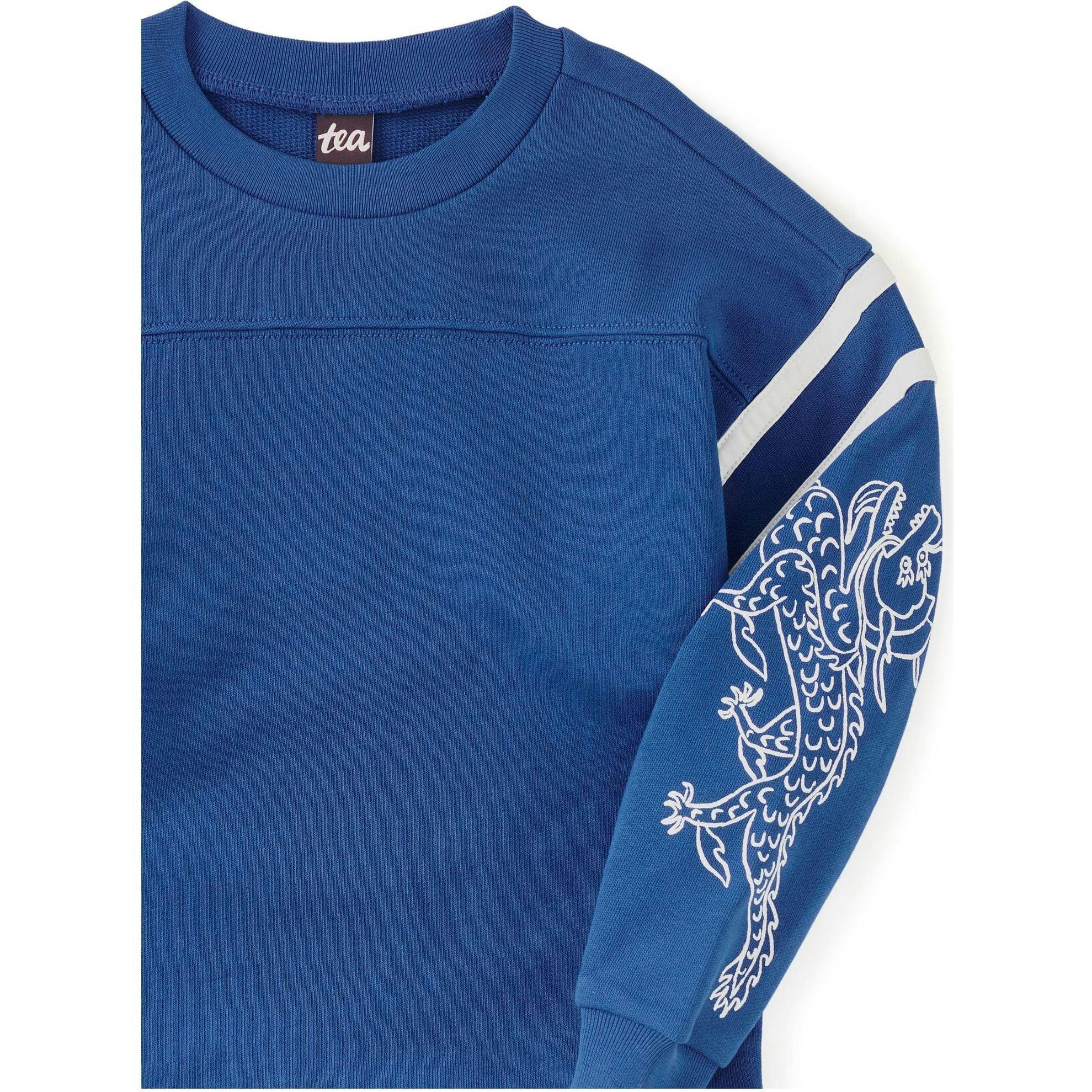 Sporty Sleeve Popover, Blue