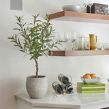 Artificial Olive Topiary Tree with Mediterranean Pot