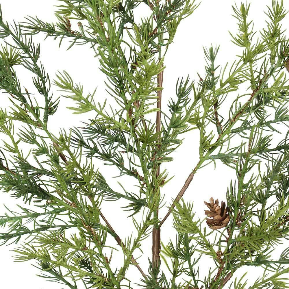36