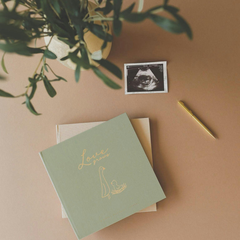 Pregnancy Memory Book