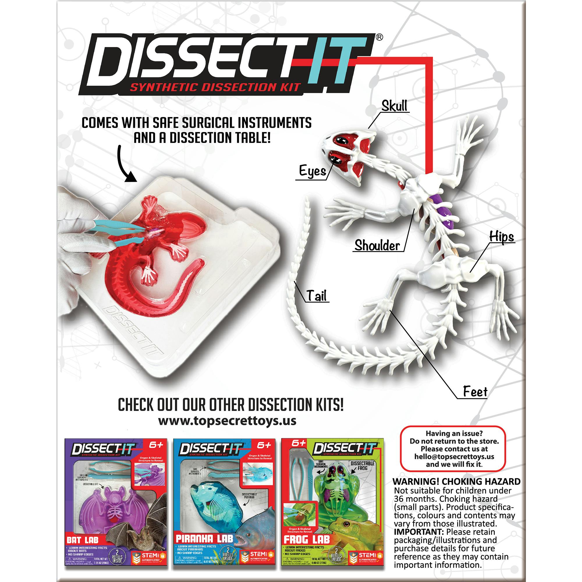 Dissect-It: Salamander Lab