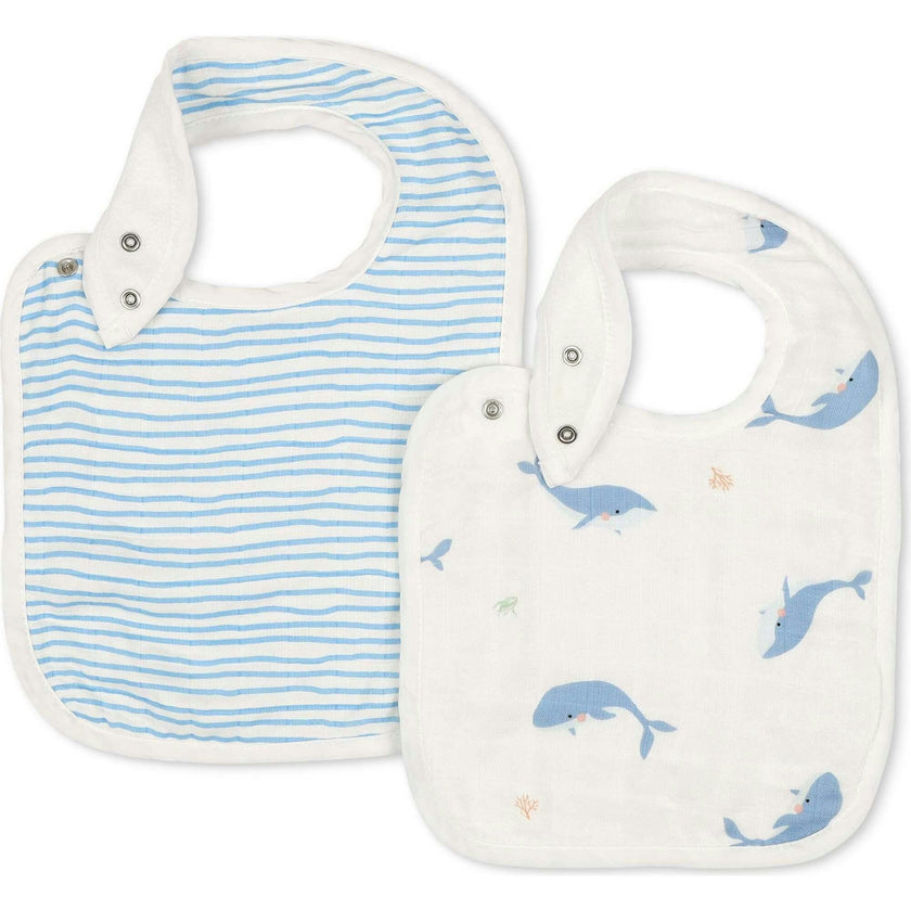 Bib Set