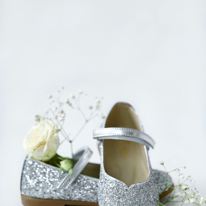 Shiny Silver Shoes