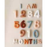 Milestone Felt Numbers in Neutral