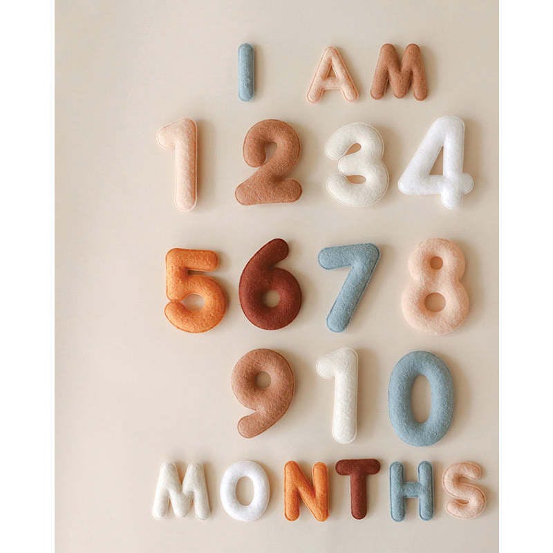 Milestone Felt Numbers in Neutral