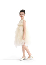 Ivory Feathered Tulle Party Dress