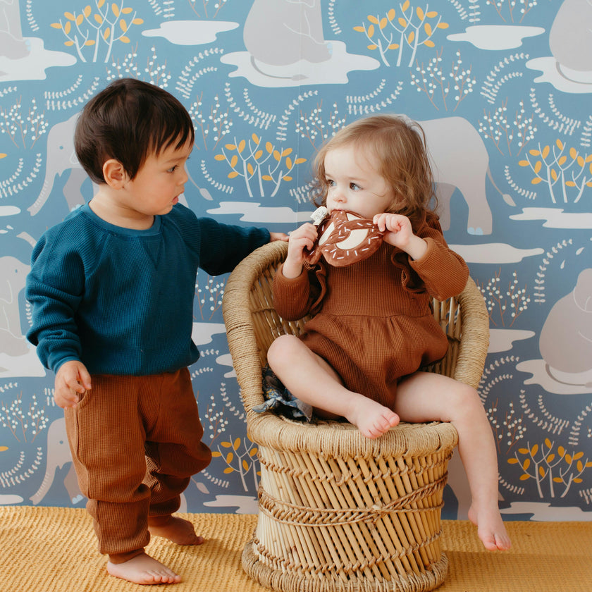 Sweet Treats Crinkle Blankets