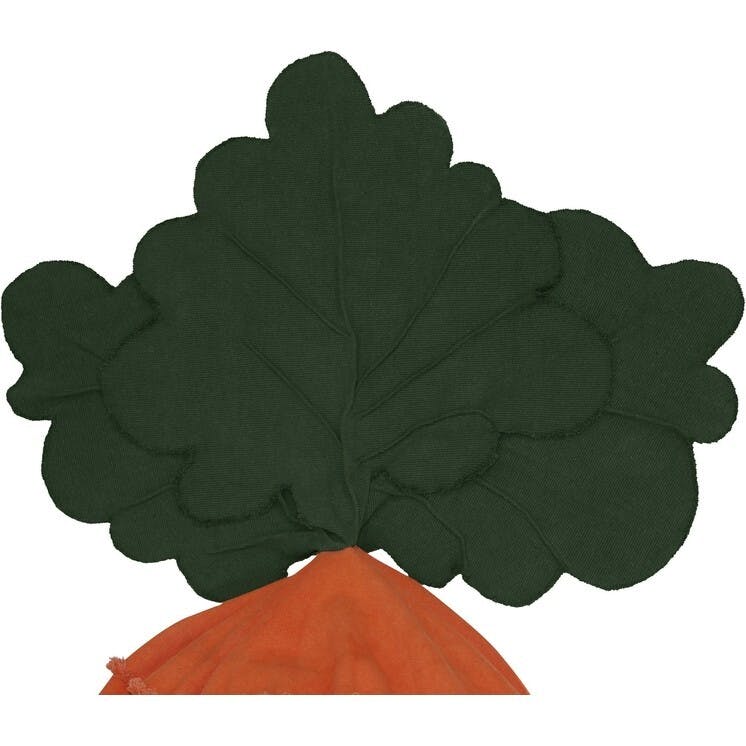 Bean Bag Cathy The Carrot