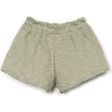 Pique Textured Shorts