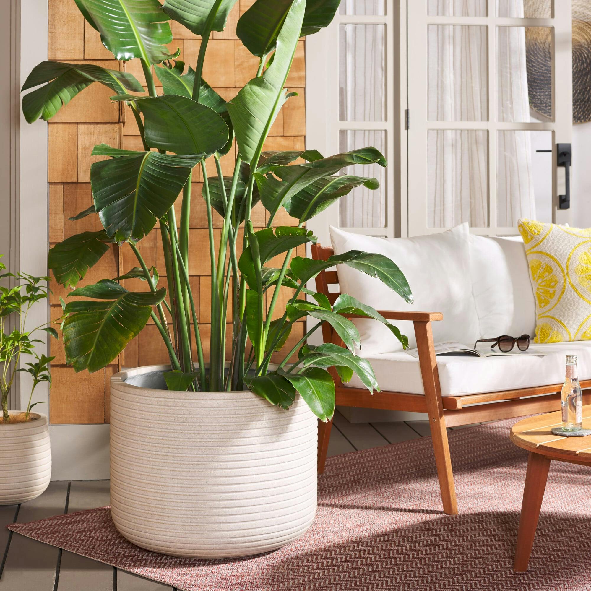 Nardo Large Planter Pot