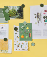 The Buttons in Sage