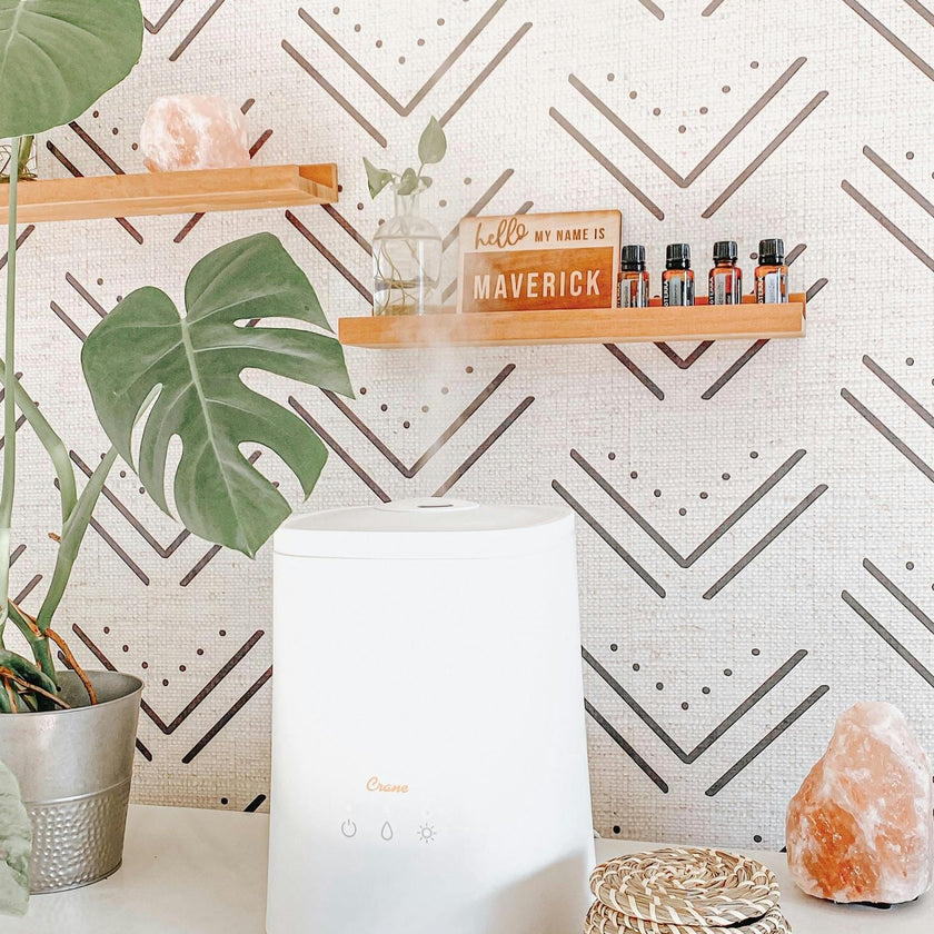 1.2 Gal. Cool Mist Top Fill Humidifier & Aroma Diffuser for Medium to Large Rooms