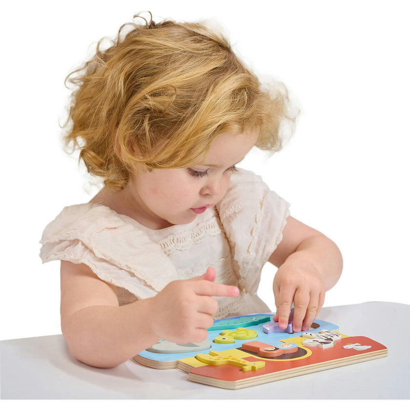 Shape Sorting Ark Tray