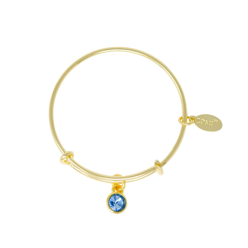 March Birthstone Bangle Bracelet