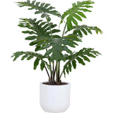 3' Faux Potted Philodendron