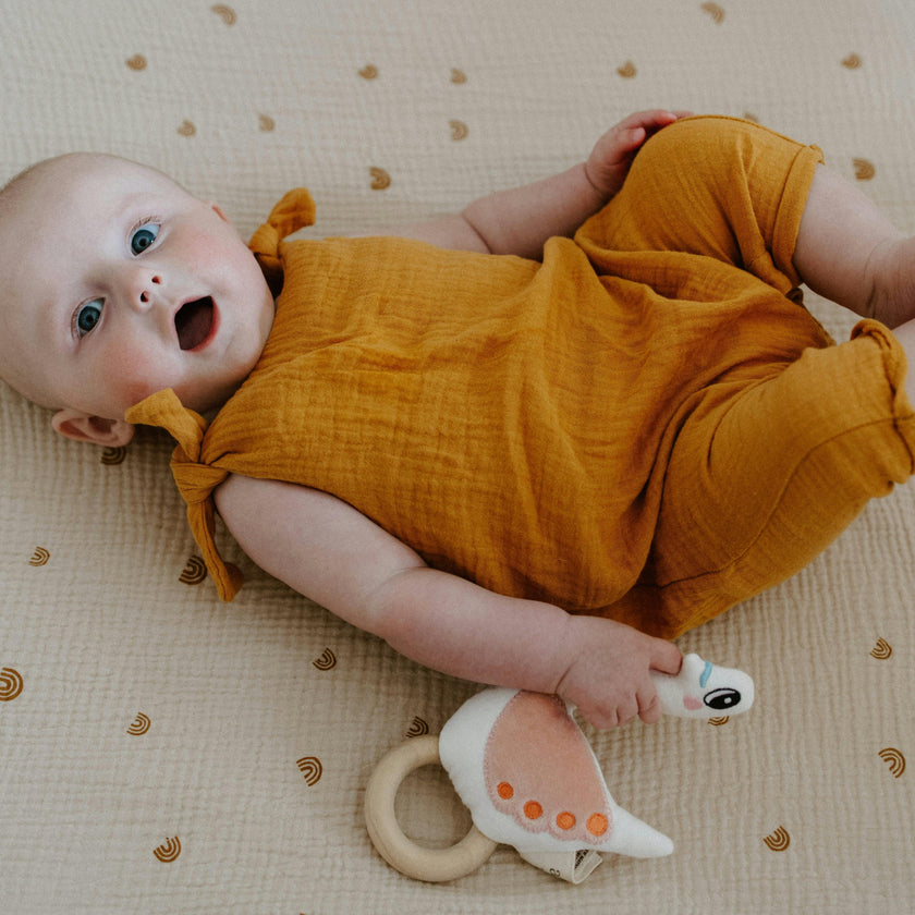 Swan Rattle