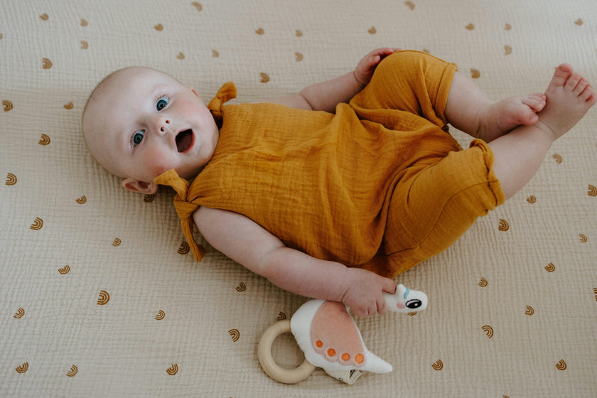 Swan Rattle