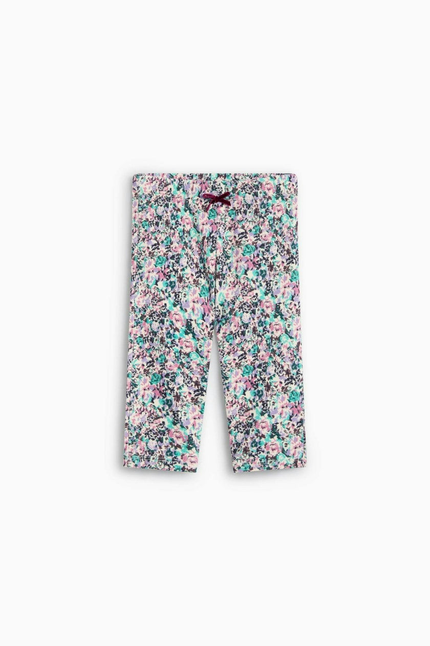 TNS Logo Rib Baby Legging Special Ashby Print